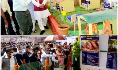 चिराग परियोजना के शुभारंभ पर मुख्यमंत्री ने कृषि मड़ई में विभागीय स्टालों का अवलोकन किया...