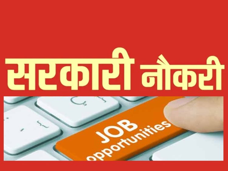 आईबीपीएस पीओ भर्ती के लिए आज से आवेदन शुरू, ग्रेजुएट्स को मौका, 5351 वैकेंसी