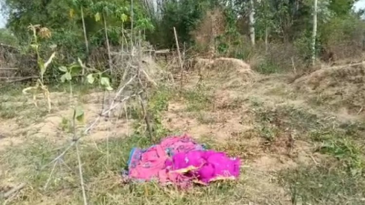 Attack : छत्तीसगढ़ में 24 घंटे के अंदर हाथी ने तीन लोगों को कुचला, ग्रामीणों में दहशत का माहौल