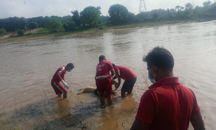 CG : दोमुहानी चेक डेम में मिली महिला की लाश…रविवार को शनिचरी रपटा से लगाई थी छलांग