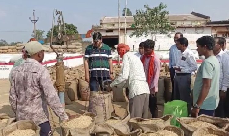 छत्तीसगढ़ में कब से होगी धान खरीदी, मंत्रिमंडल इस दिन करेगा फैसला !