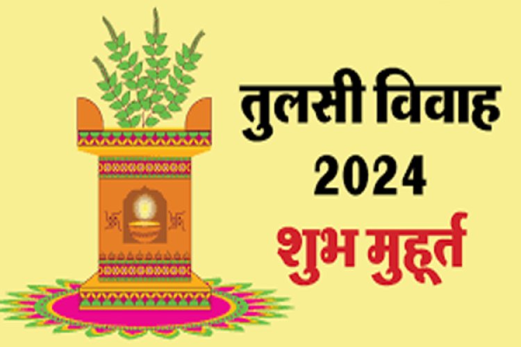 Tulsi Vivah 2024: कब है तुलसी विवाह, यहां जानें सही डेट और शुभ मुहूर्त