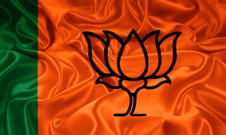 BREAKING : नगरीय निकाय चुनाव 2025: BJP ने महासमुंद, धमतरी और सारंगढ़-बिलाईगढ़ में उम्मीदवारों का किया एलान, देखें किन्हें मिला लिस्ट