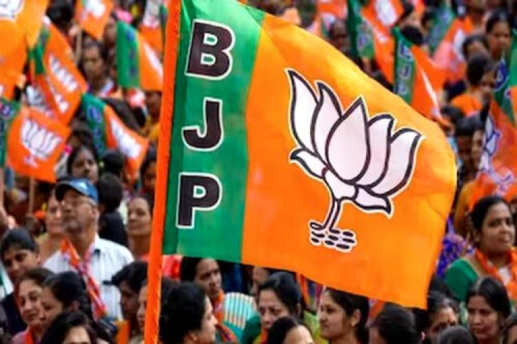 नगर निगम चुनाव: BJP से इस मेयर प्रत्‍याशी का नामांकन हो सकता है रद्द, सामने आ रही ये बड़ी वजह