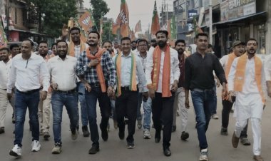 नवनियुक्त भाजपा युवा टीम ने माँ दंतेश्वरी मंदिर जा कर लिया माँ का आशीर्वाद, पदयात्रा और आतिशबाजी के साथ किया शक्ति प्रदर्शन