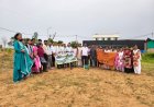 आ.भा.वि.प. द्वारा रामचंद्र सिंहदेव कृषि महाविद्यालय एवं अनुसंधान केंद्र, बैकुण्ठपुर में वृक्षारोपण कार्यक्रम संपन्न