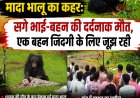 कांकेर में मादा भालू का कहर: सगे भाई-बहन की दर्दनाक मौत, एक बहन जिंदगी के लिए जूझ रही चार घंटे बाद वन विभाग ने किया रेस्क्यू