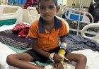 सांप के काटने के बाद कोमा में पहुंचा बच्चा, 6.2 हीमोग्लोबिन और ब्रेन मलेरिया से जूझते हुए डॉक्टरों ने बचाई जान