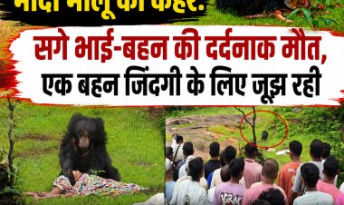 कांकेर में मादा भालू का कहर: सगे भाई-बहन की दर्दनाक मौत, एक बहन जिंदगी के लिए जूझ रही चार घंटे बाद वन विभाग ने किया रेस्क्यू