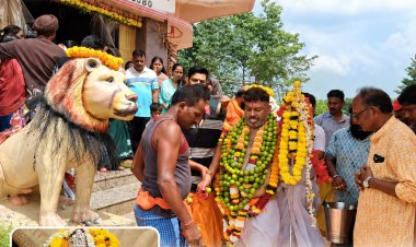 हरियाली अमावस्या पर करकापाल में उमड़ा आस्था का सैलाब मां सती के दरबार में हजारों श्रद्धालुओं ने टेका माथा, मनोकामना पूरी होने पर श्रद्धालुओं ने चढ़ाया चढ़ावा