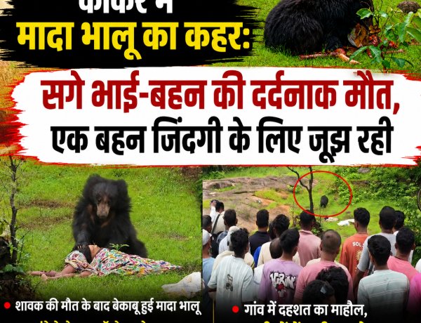 कांकेर में मादा भालू का कहर: सगे भाई-बहन की दर्दनाक मौत, एक बहन जिंदगी के लिए जूझ रही चार घंटे बाद वन विभाग ने किया रेस्क्यू
