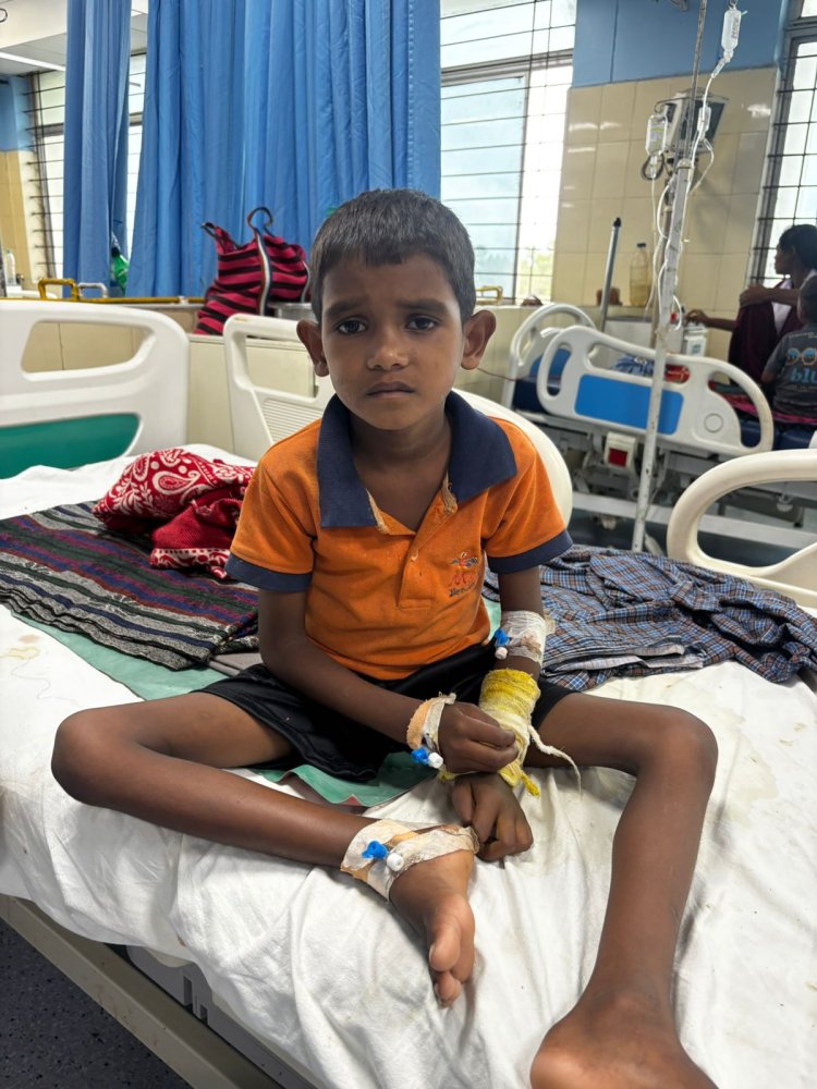 सांप के काटने के बाद कोमा में पहुंचा बच्चा, 6.2 हीमोग्लोबिन और ब्रेन मलेरिया से जूझते हुए डॉक्टरों ने बचाई जान