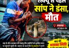 बाढ़ में फंसे ग्रामीण को रेस्क्यू से पहले सांप ने डंसा, मौत से गांव में पसरा मातम गाय-बैल को छोड़कर जाने से किया इनकार, दोबारा रेस्क्यू करने पहुंची टीम तो हो चुकी थी अनहोनी