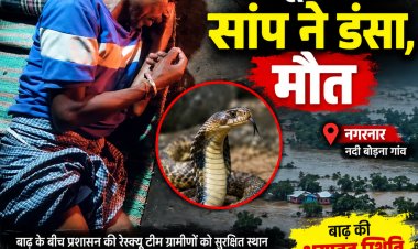 बाढ़ में फंसे ग्रामीण को रेस्क्यू से पहले सांप ने डंसा, मौत से गांव में पसरा मातम गाय-बैल को छोड़कर जाने से किया इनकार, दोबारा रेस्क्यू करने पहुंची टीम तो हो चुकी थी अनहोनी