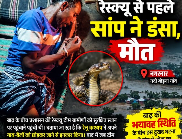 बाढ़ में फंसे ग्रामीण को रेस्क्यू से पहले सांप ने डंसा, मौत से गांव में पसरा मातम गाय-बैल को छोड़कर जाने से किया इनकार, दोबारा रेस्क्यू करने पहुंची टीम तो हो चुकी थी अनहोनी