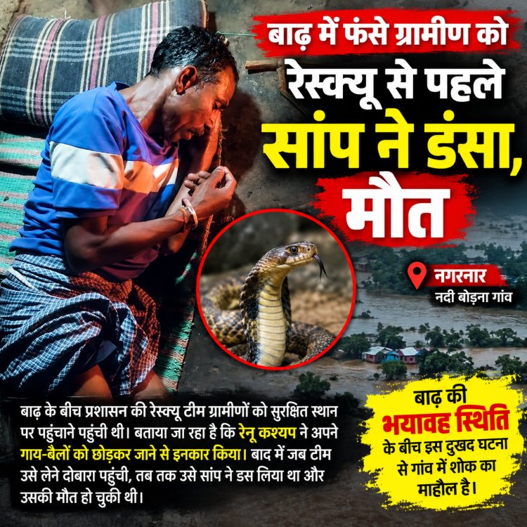बाढ़ में फंसे ग्रामीण को रेस्क्यू से पहले सांप ने डंसा, मौत से गांव में पसरा मातम गाय-बैल को छोड़कर जाने से किया इनकार, दोबारा रेस्क्यू करने पहुंची टीम तो हो चुकी थी अनहोनी